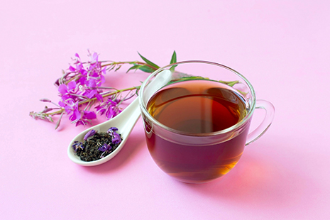 Иван-чай: польза и вред напитка